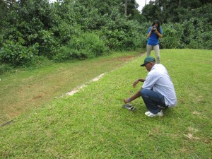 The Kestrel being released back into the wild after recovering from an injured wing