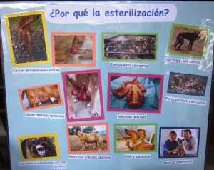 ???????????????????????????????