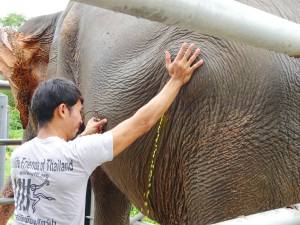 11745237_10203910127307607_1955640413_o