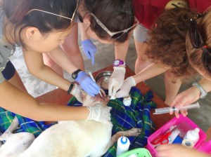 Cleaning open head wound