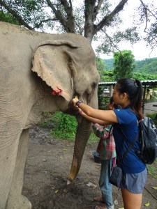 Crystal injecting iodine solution into an abscess to clean the wound 