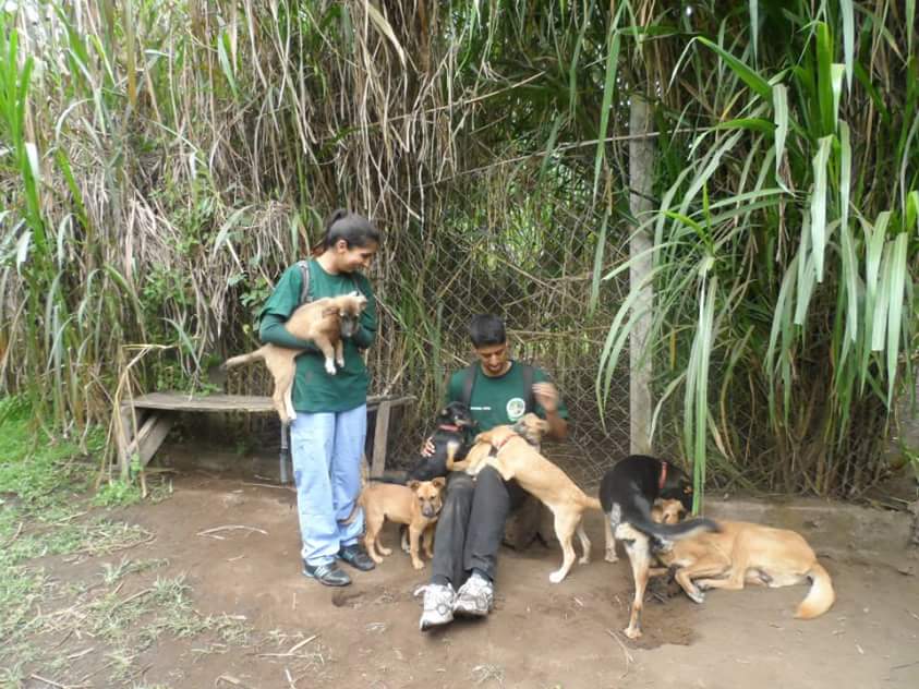 FB_IMG_1435786455359