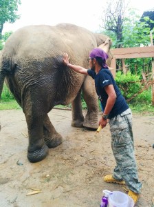 Dr. Jib expressing an abscess 