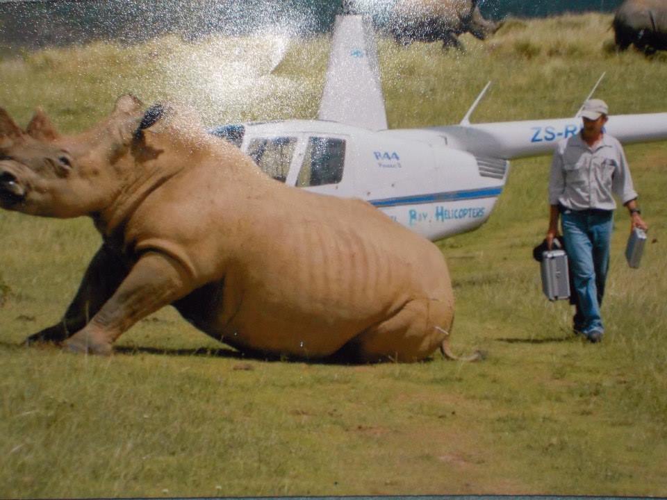 Dr. Willem Burger Darting a rhino