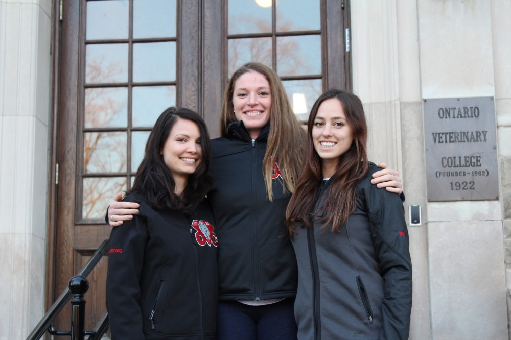 Alisha, Lauren &amp; Chrissy