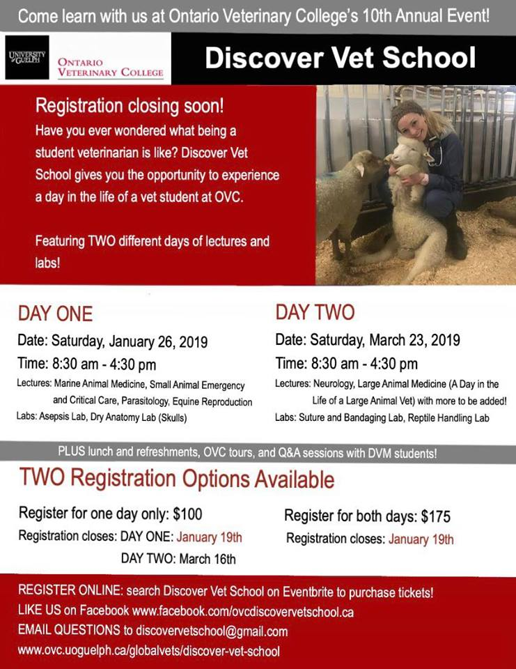 discover vet school flyer
