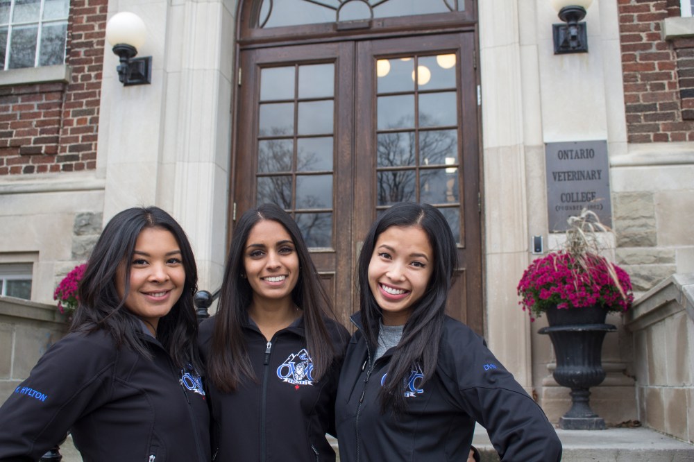 claws and effect.jpg