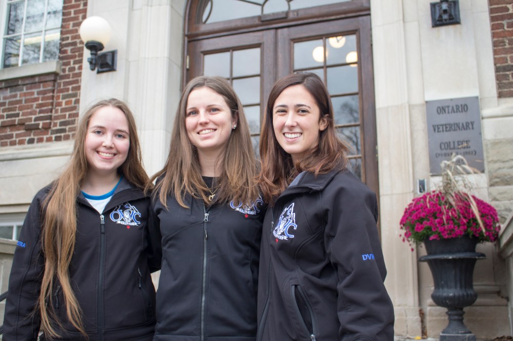 sisterhood of travelling pants.jpg